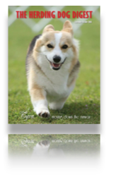 collage image title