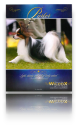 collage image title